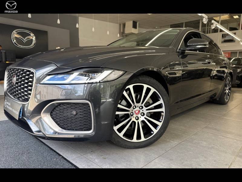 jaguar - Visuel 0