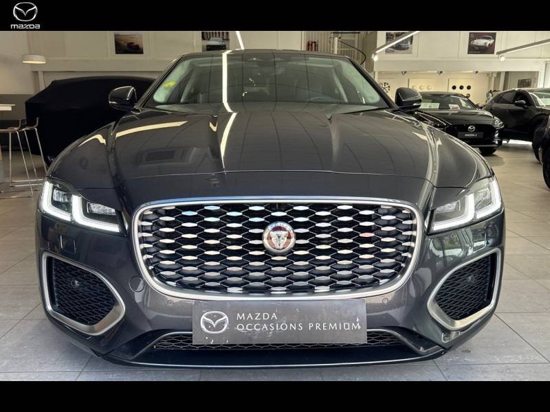 jaguar - Visuel 1