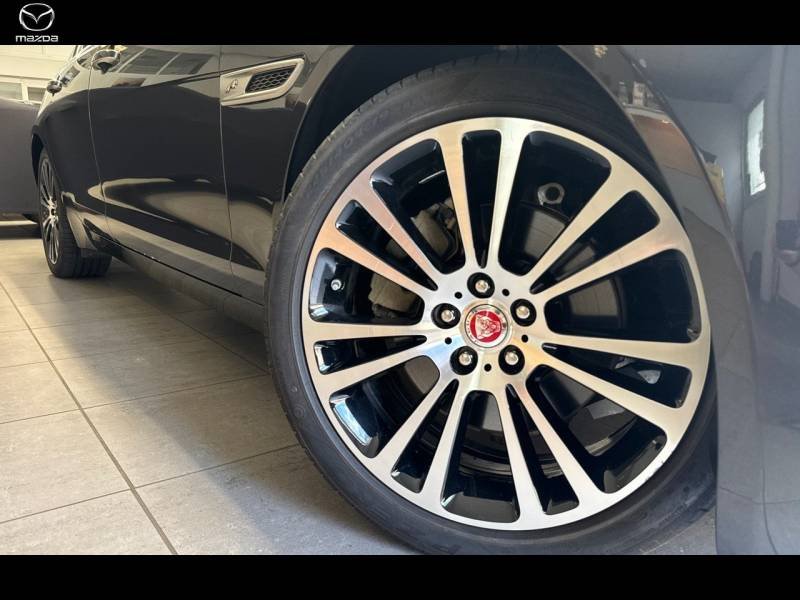 jaguar - Visuel 3