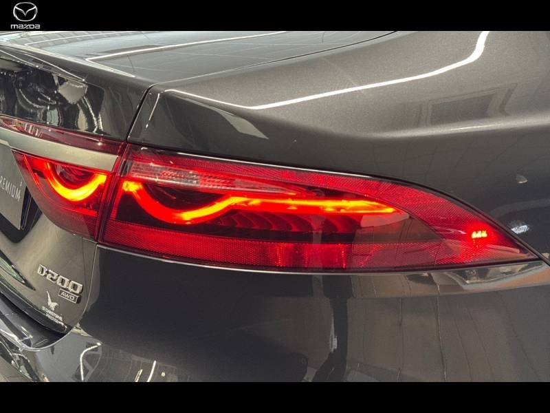 jaguar - Visuel 16